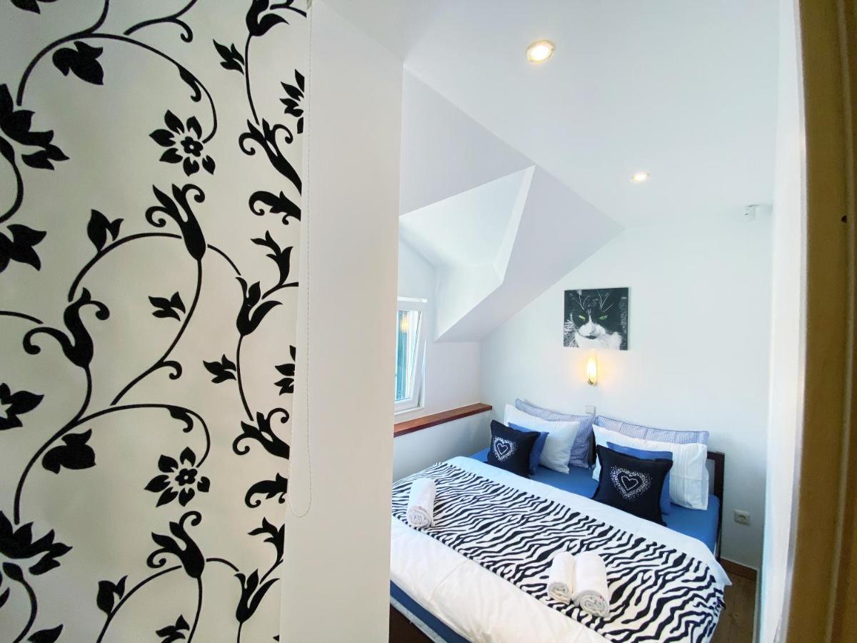 Apartman Sandra In The Historical Center Of The *